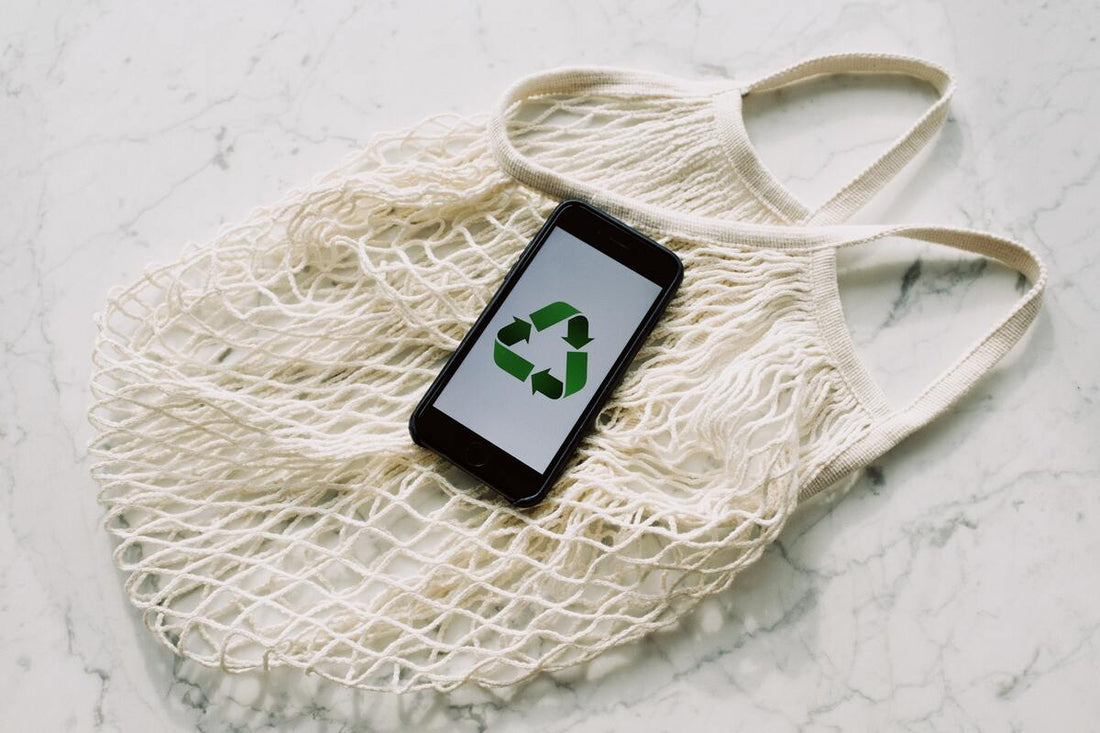 Going Green: Our Favorite Zero Waste and Plant-Based Products